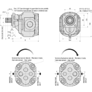 gear-pumps