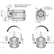 gear-pumps