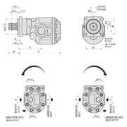 gear-pumps
